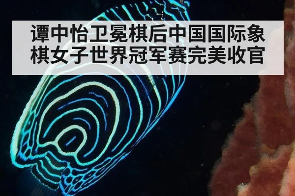 谭中怡卫冕棋后中国国际象棋女子世界冠军赛完美收官