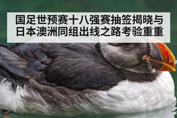 国足世预赛十八强赛抽签揭晓与日本澳洲同组出线之路考验重重